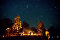 Camping-out-bush